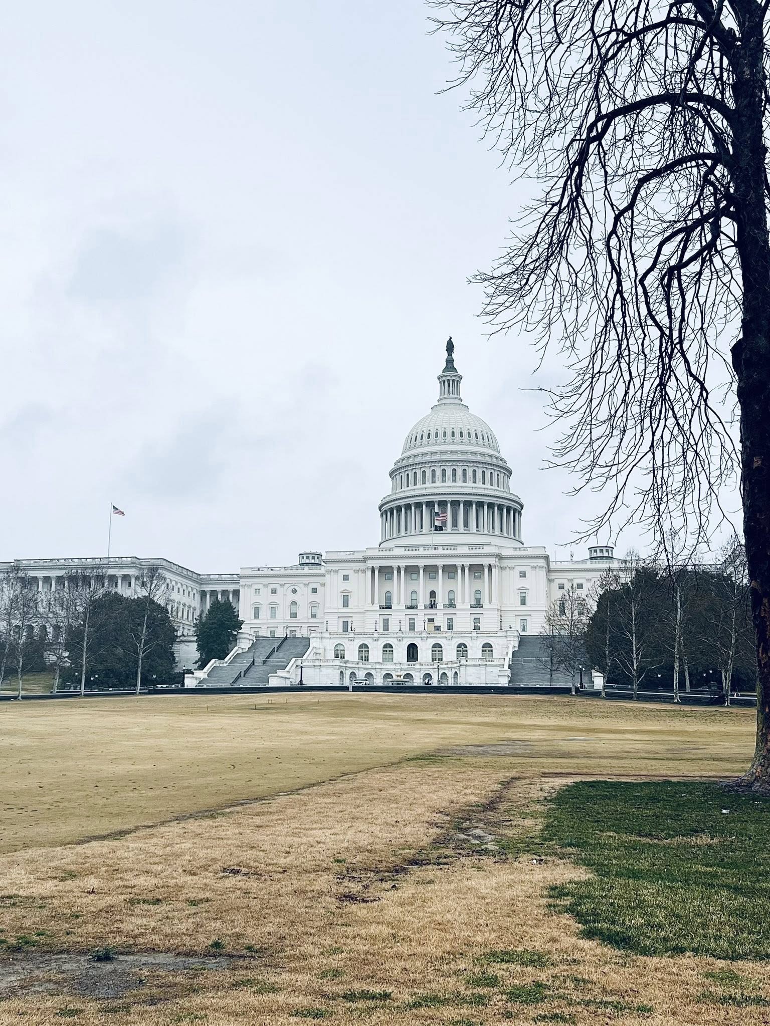 Capitol Building - 2026